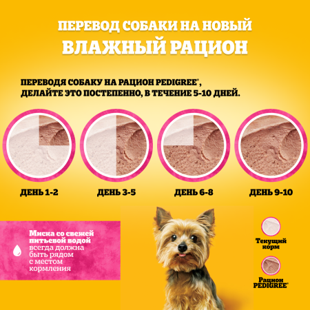 PDG_Pouch_Transfer_Tiny breeds_pate (1)