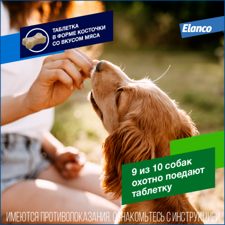 4. Drontal dog_comfort