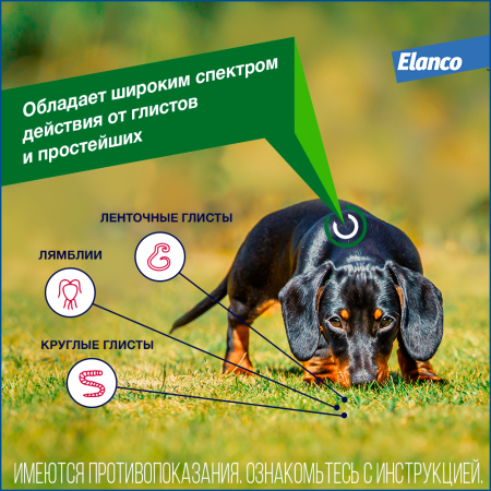 3. Drontal dog_parasites