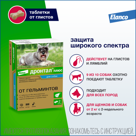 2. Drontal dog 2tab_main