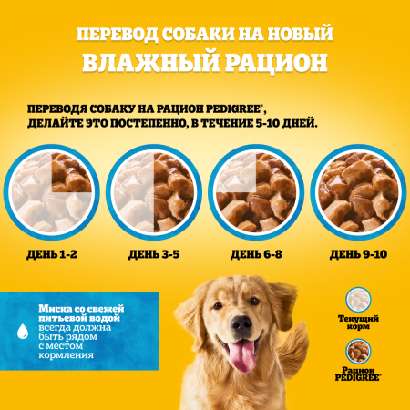 PDG_Pouch_Transfer_All breeds (2)